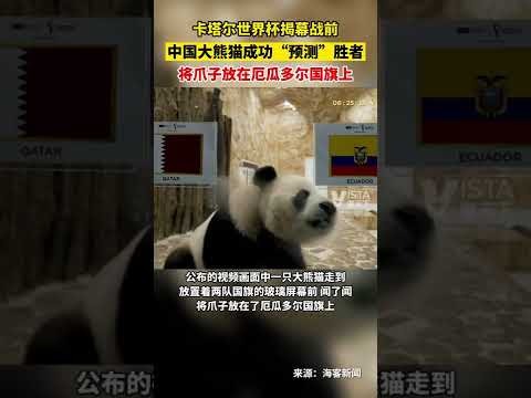 周一,常规赛分析,凯尔特人对,PT真人视讯,PT真人官网,PT真人视讯官方平台,PT视讯官网