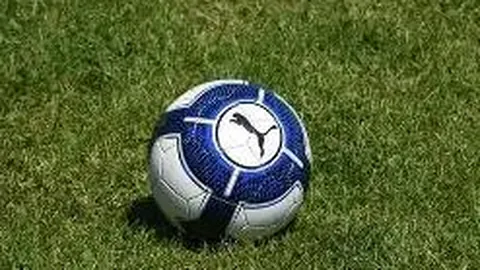 孙杨案件因翻译争议延后裁决，国际体育仲裁法庭：一月中旬前难公布结果