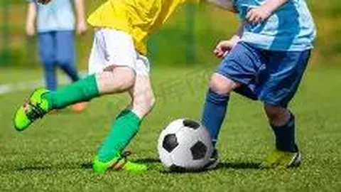 PT真人官网 资讯 124520 bjj