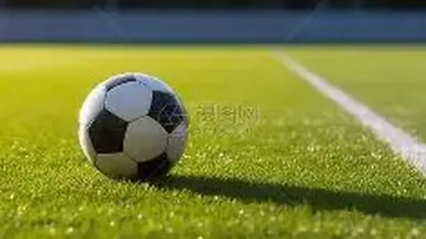 PT真人官网 资讯 125134 5yp